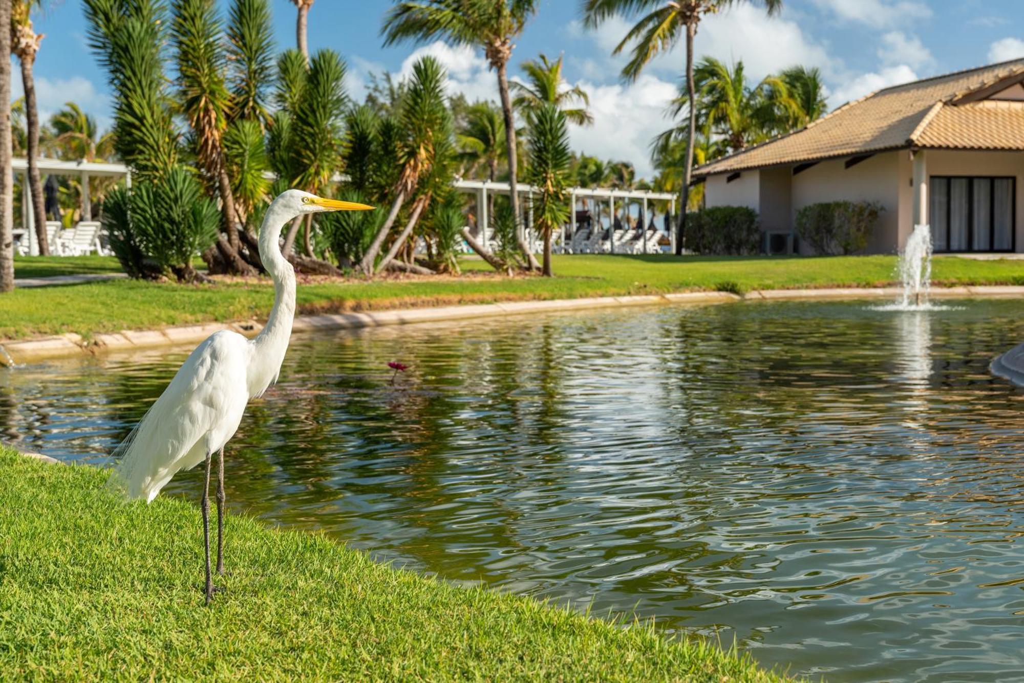 Vila Gale Resort Cumbuco Caucaia Εξωτερικό φωτογραφία